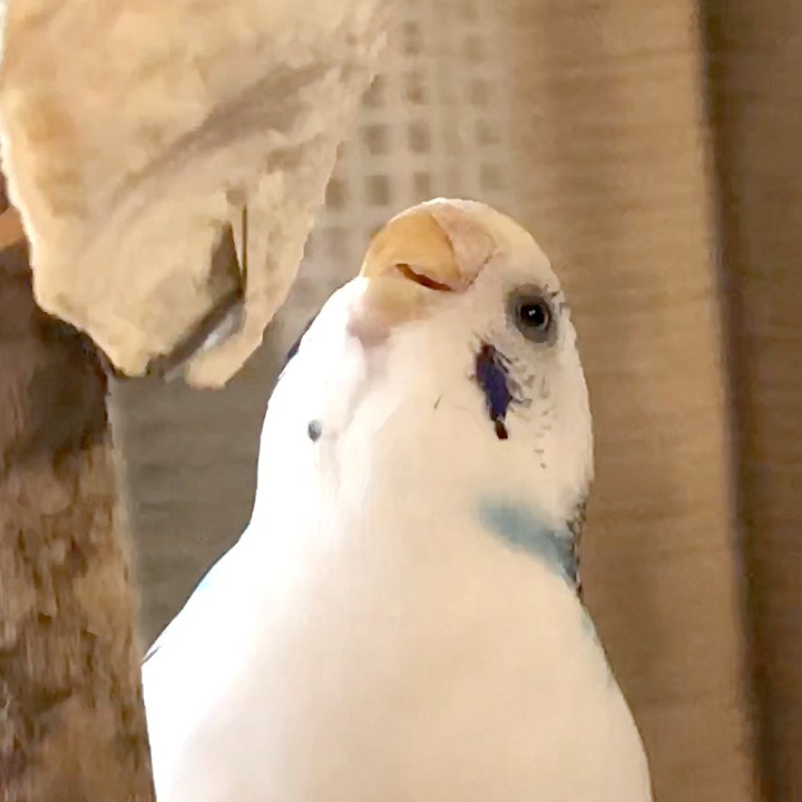 そらちゃん♡今度は何を狙っているのかな？