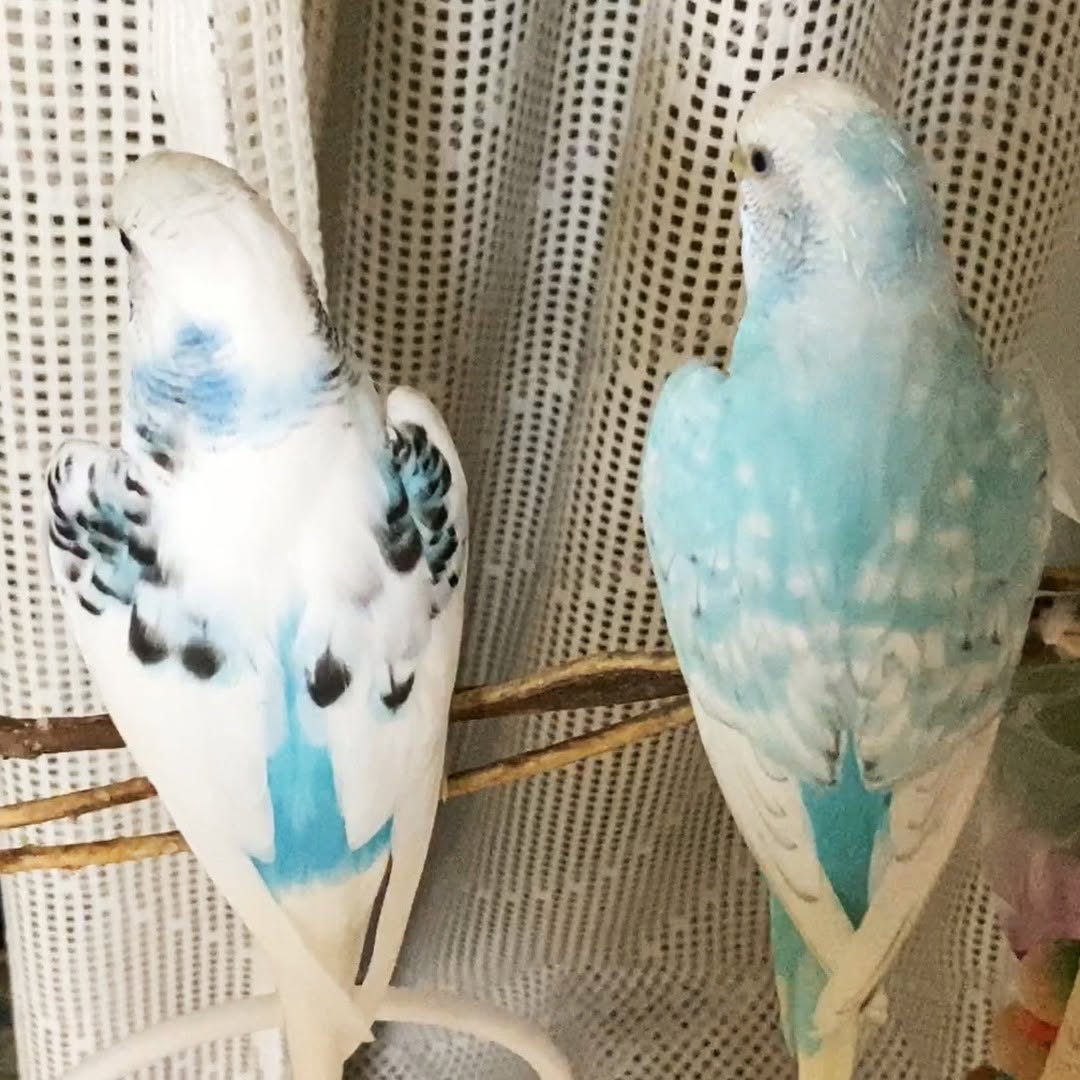 ケンカすることあっても…やっぱり一緒がいいよね