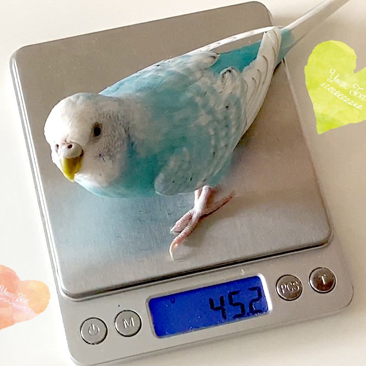 ダイエット中のちゅらちゃん過去一太ってるのにドヤ顔！