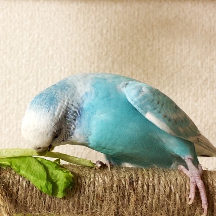 ちゅらちゃんの 美味しいショット😋