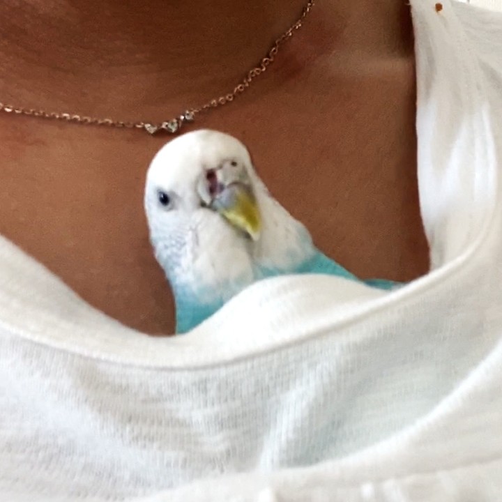 Tシャツの中からひょっこり♡甘えん坊ちゅら