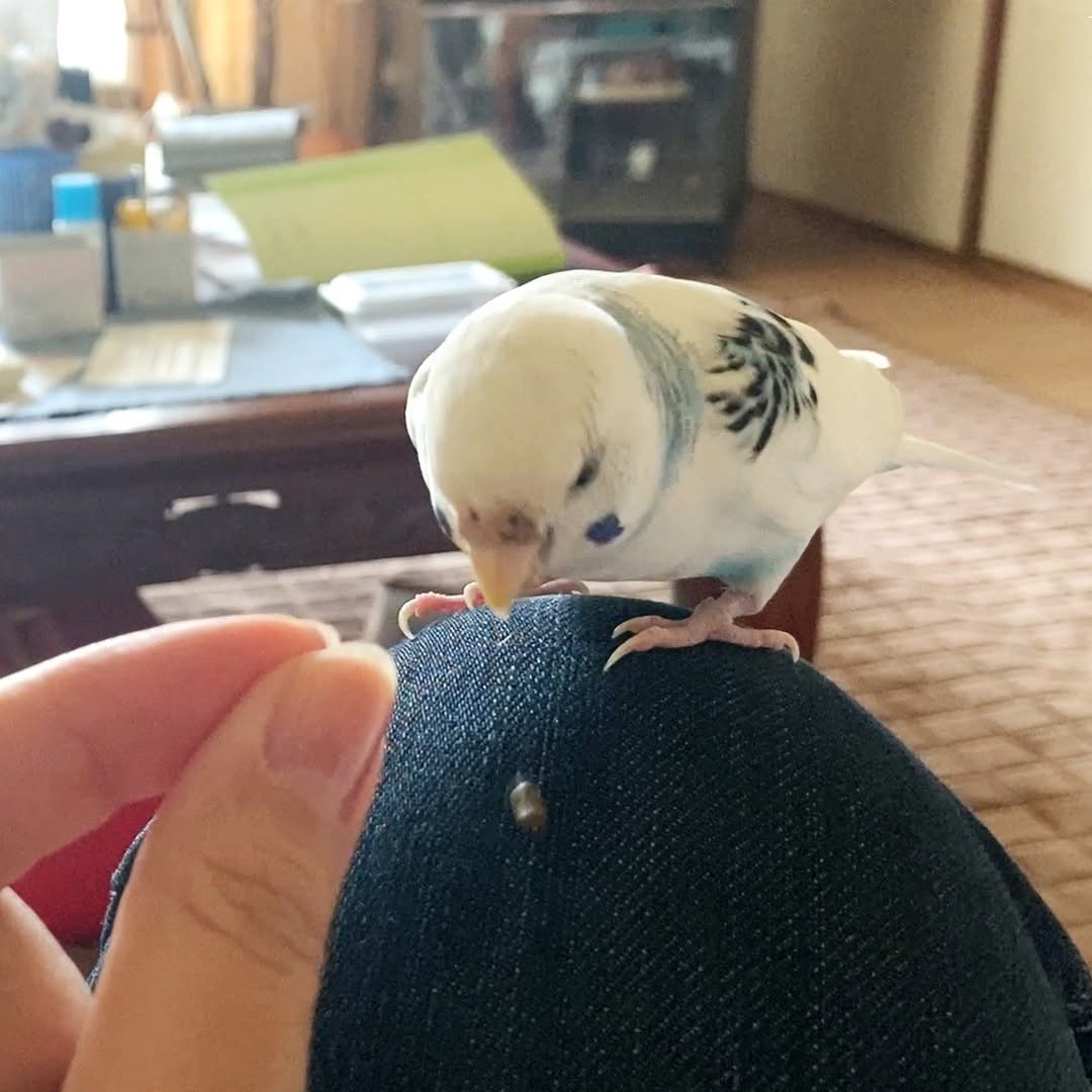 やっぱり苦手？大粒の実ポロリなそらちゃん