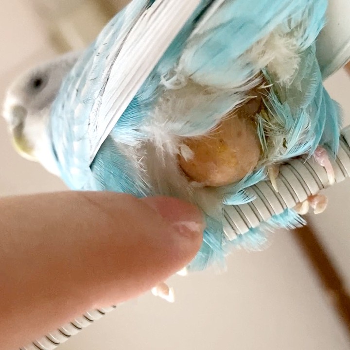 病院へ行ってもどうすることもできない状況…