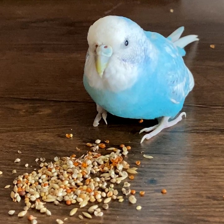 ダイエット解禁！たくさん食べていいよ🎉