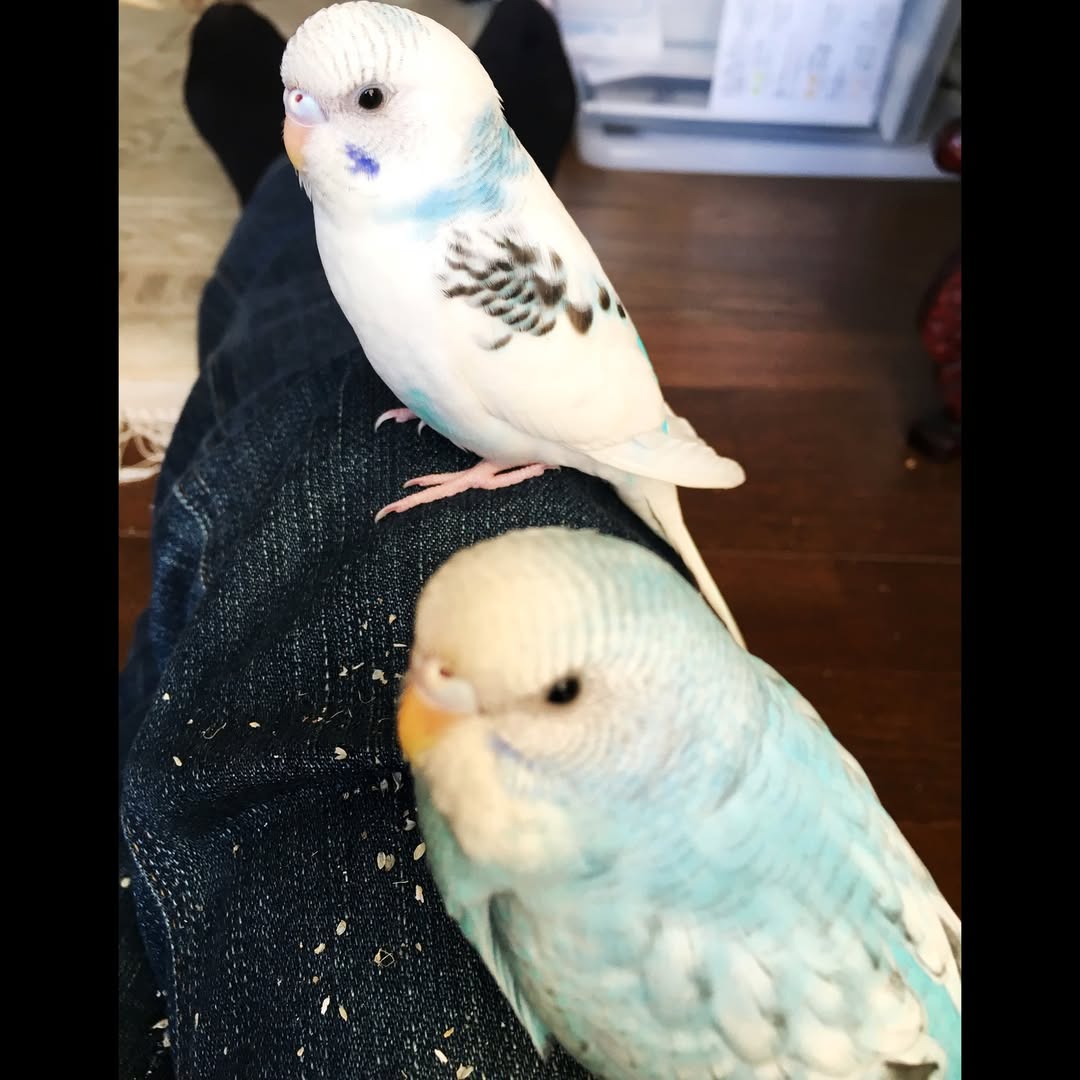 大好きだよ❤️ 至らなくてごめんね…ありがとう | そらとちゅらの思い出