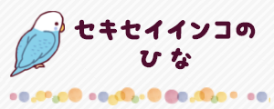 セキセイインコの雛