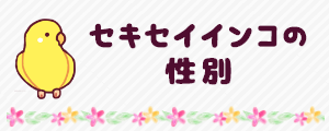 セキセイインコの性別