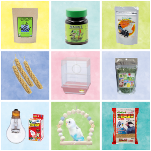 セキセイインコのおすすめグッズ
