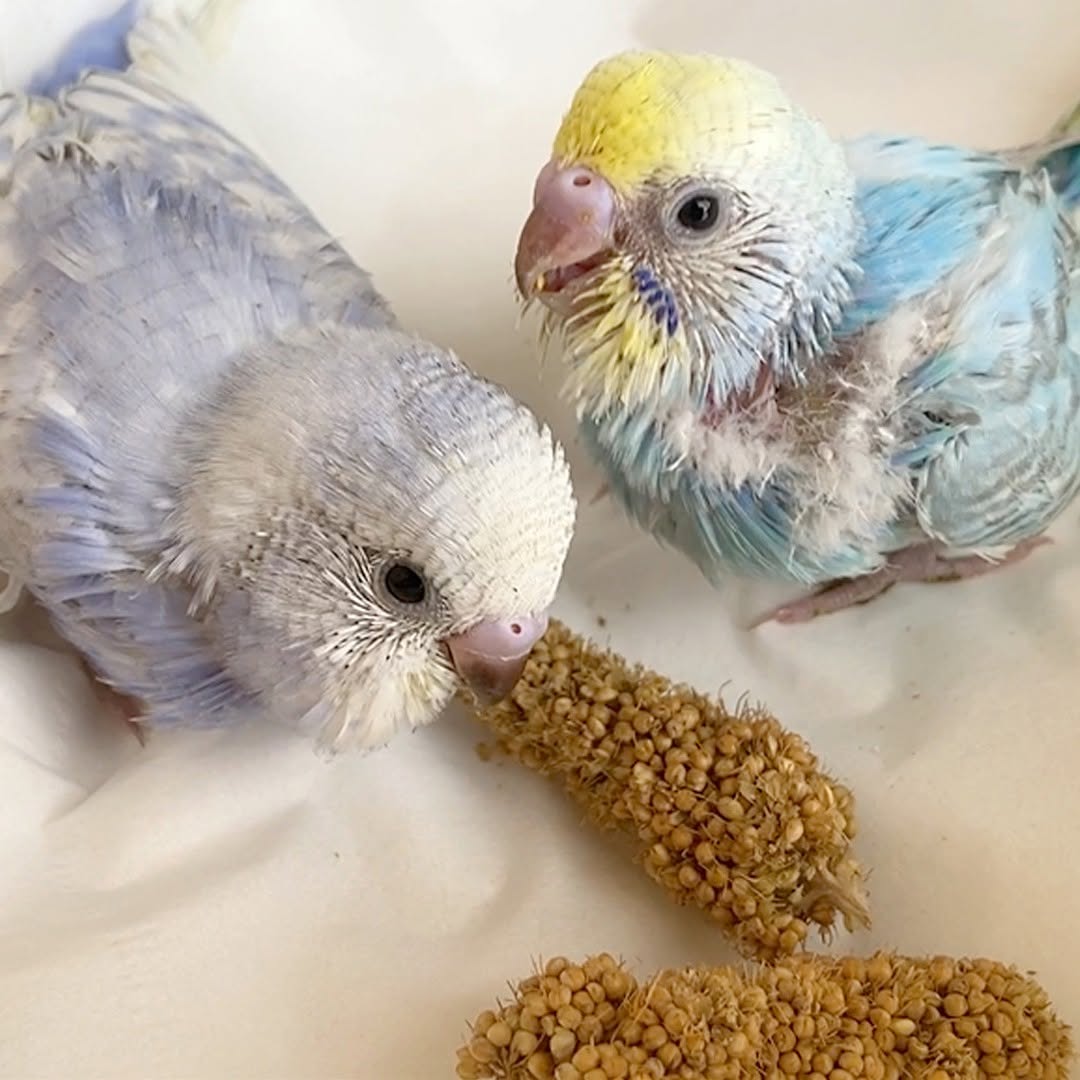 カメラ目線が可愛い💛可愛い💛