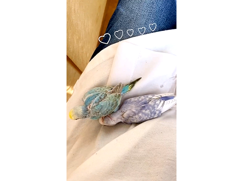 よちよち行進🎵そんなに急いでどこ行くの？