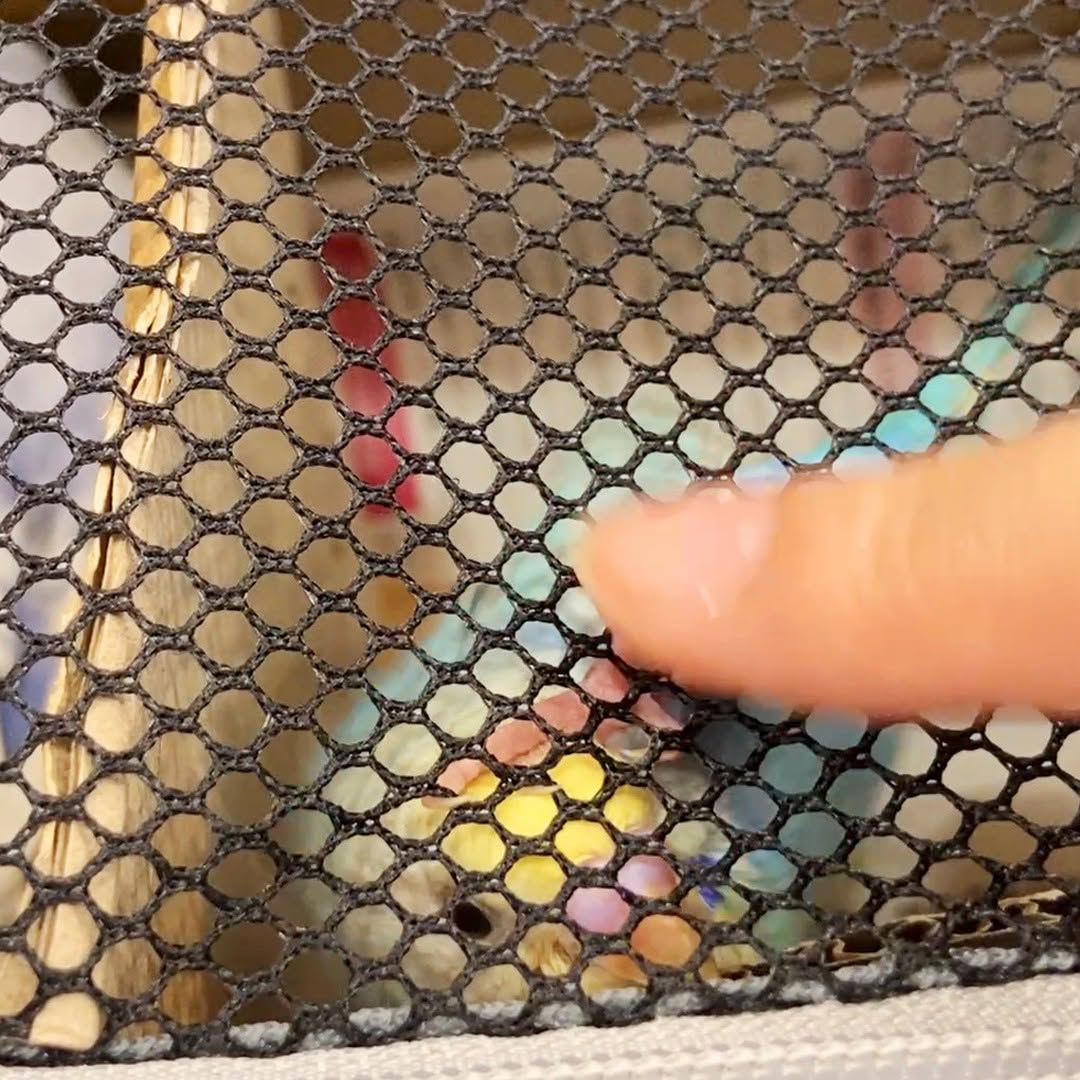 キャリーの中から出して！と猛アピール