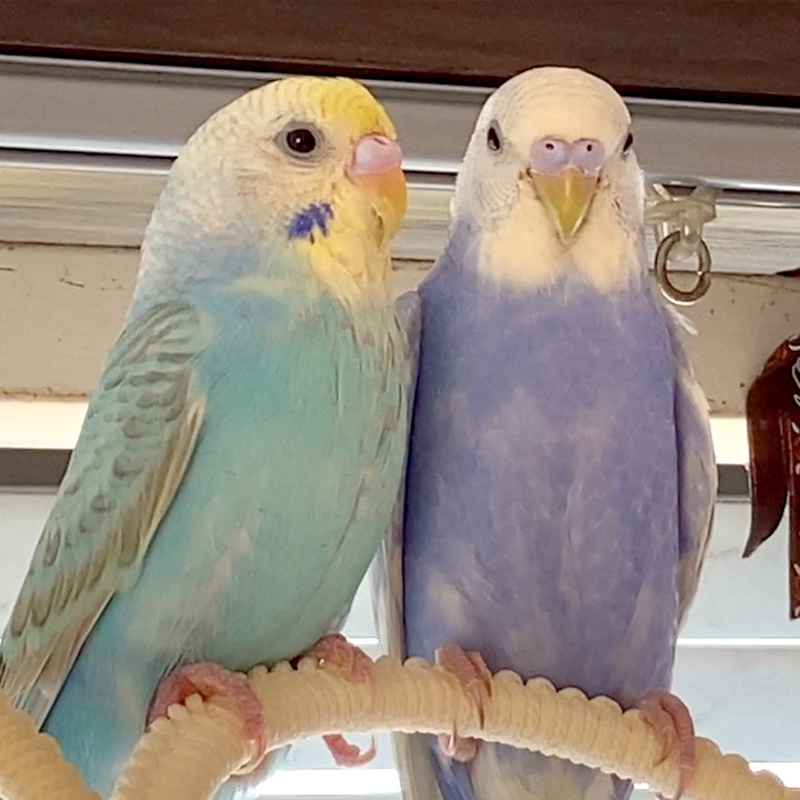 少し大人になって寄り添うふたりは成長中