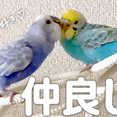 キュートな女の子にアピール中💛片思い🥰