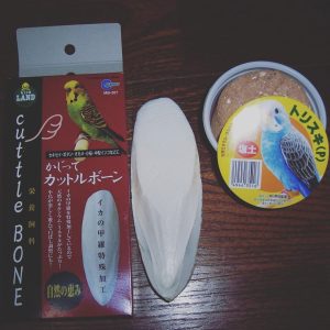 セキセイインコのえさ