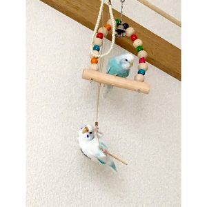 セキセイインコの遊び