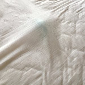 セキセイインコの遊び