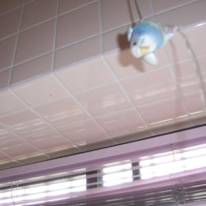 セキセイインコの遊び