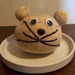 セキセイインコとの生活