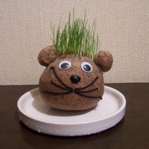 セキセイインコのえさ