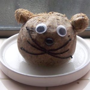 セキセイインコのえさ