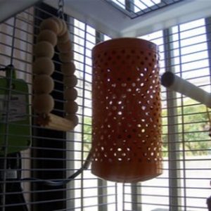 セキセイインコの飼い方