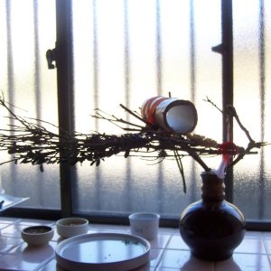 セキセイインコの遊び