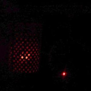 セキセイインコの飼い方の注意点