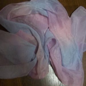 セキセイインコ捕獲グッズ