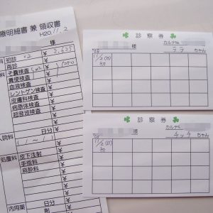 セキセイインコ病院